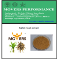 Hot Sell Plant Extract: Safed Musli Extract